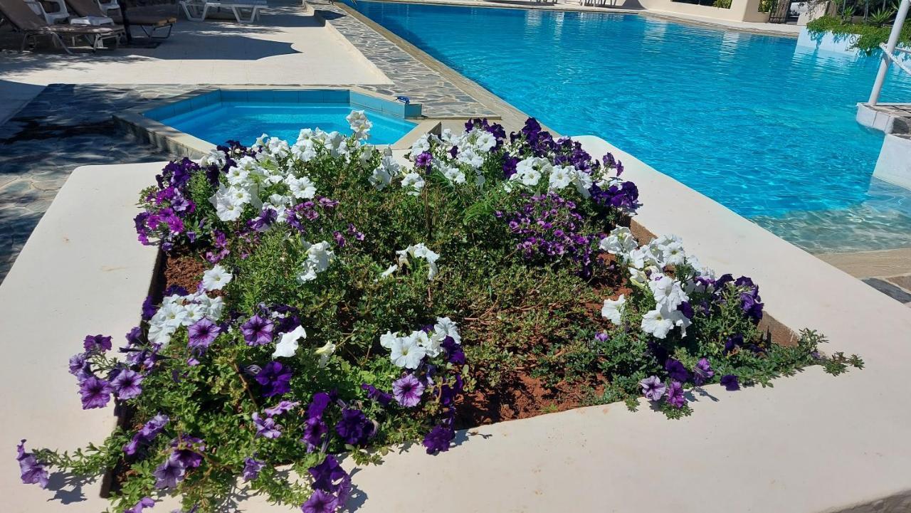 Monte Vardia Chania  Buitenkant foto
